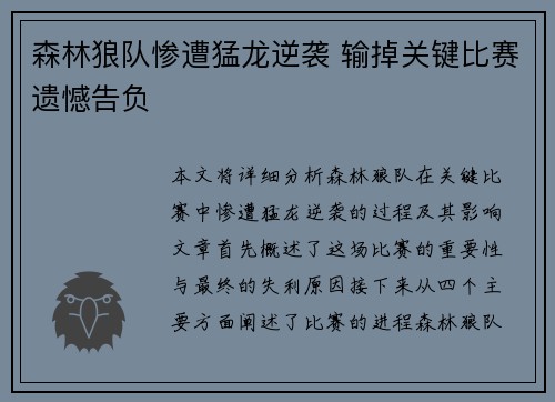 森林狼队惨遭猛龙逆袭 输掉关键比赛遗憾告负