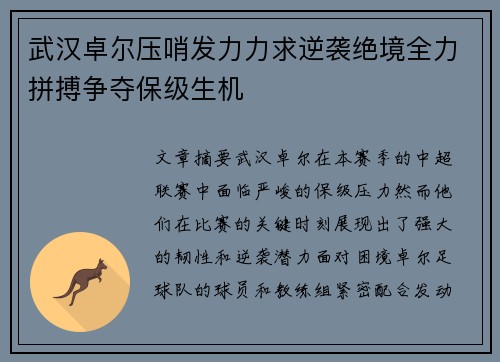 武汉卓尔压哨发力力求逆袭绝境全力拼搏争夺保级生机